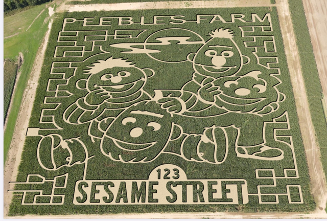 2025 sesame
